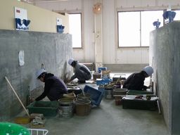 P1000025.JPG